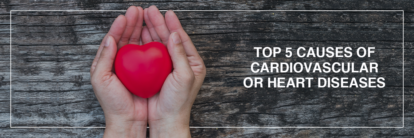 Top 5 Causes of Cardiovascular or Heart Diseases