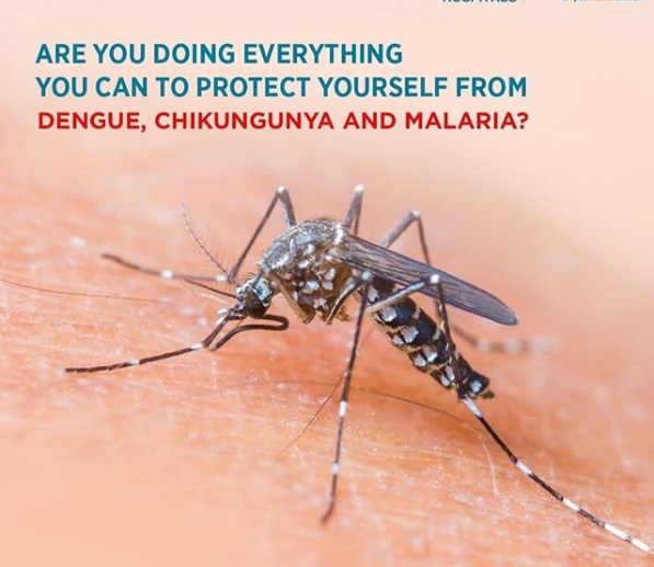Delhi Apollo - Malaria