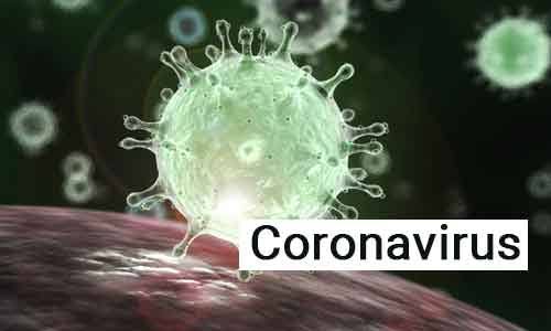 Interim Health Advisory on the 2019 Novel Coronavirus (2019-nCoV)