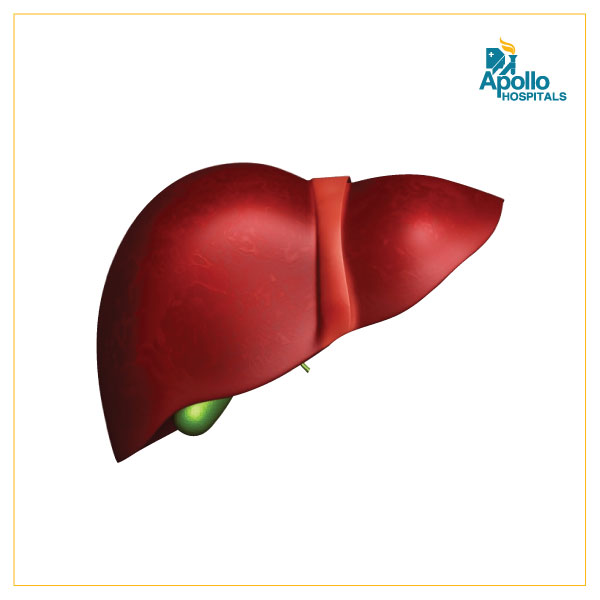 Who can undergo a liver transplant?