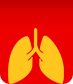 Lungs Donation